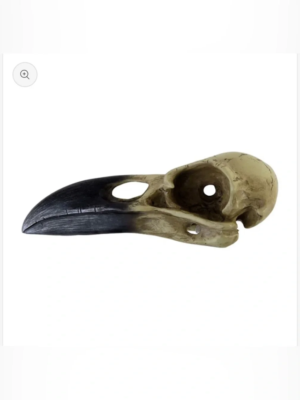 Alchemy Gothic Raven Skull Accent - Corvus Alchemica